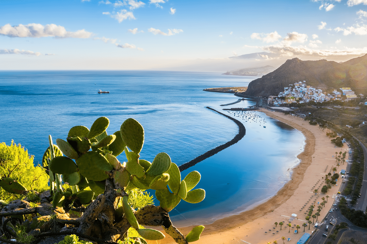 Canaries : une île pour chacun !